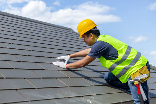 Best Roof Gutter Cleaning  in Cordova, AK