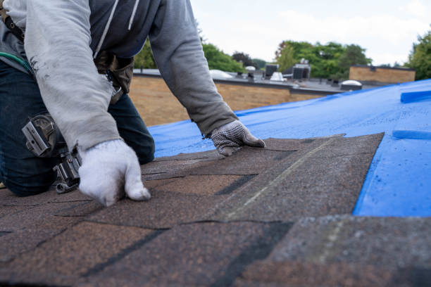 Best Metal Roofing Contractor  in Cordova, AK